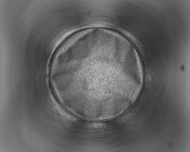 X0000116061423200912111517