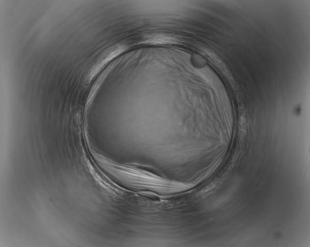 X0000116061425200912111517