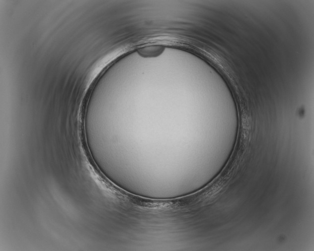 X0000116061426200912111517