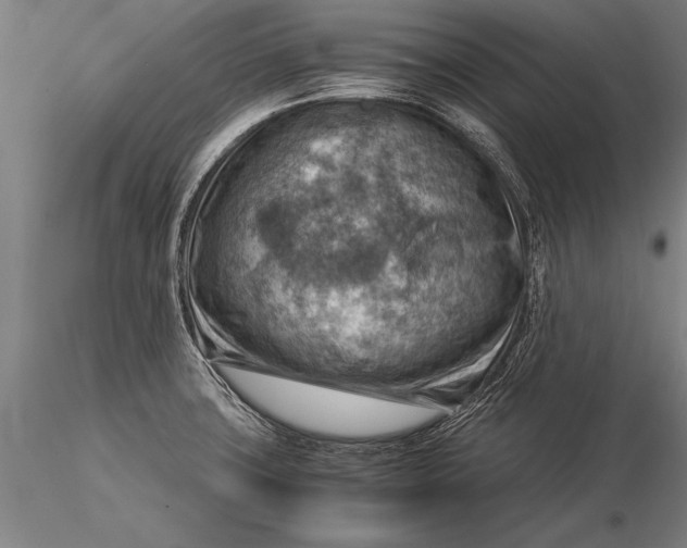 X0000116061427200912111517