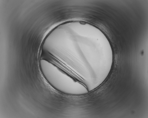 X0000116061428200912111517