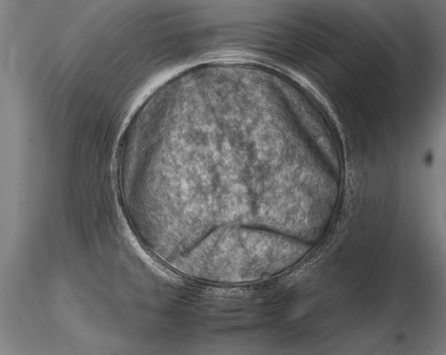 X0000116061429200912111517