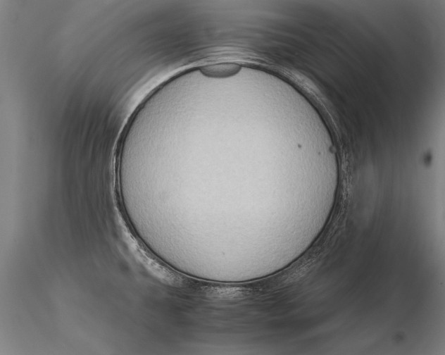 X0000116061431200912111517