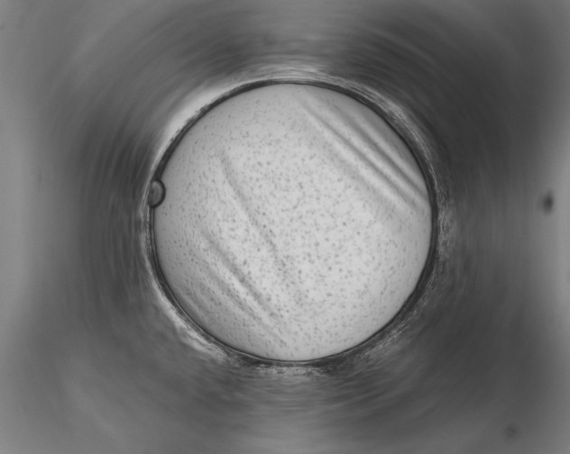 X0000116061432200912111517