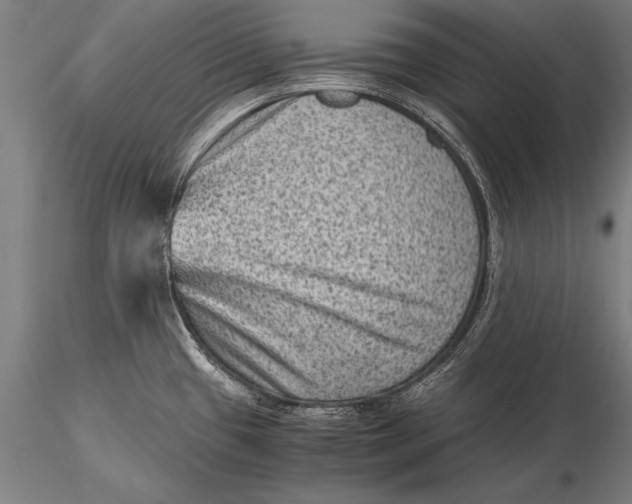 X0000116061433200912111517