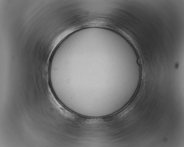 X0000116061434200912111517