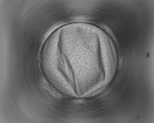 X0000116061435200912111517