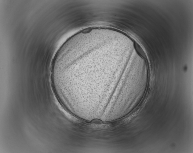 X0000116061437200912111517