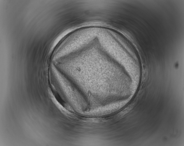 X0000116061438200912111517