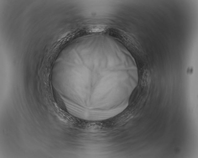 X0000116061441200912111516