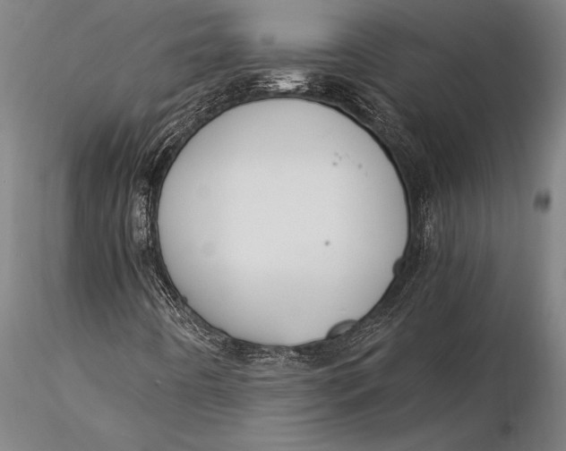 X0000116061442200912111516