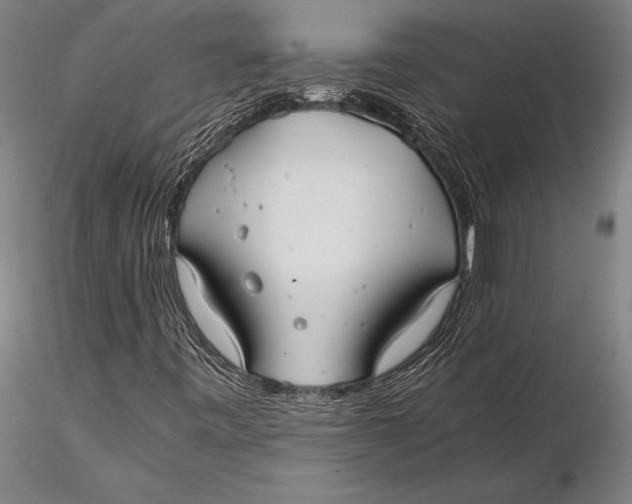 X0000116061443200912111516