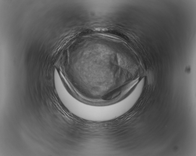 X0000116061444200912111516