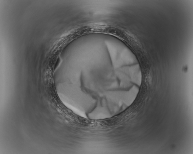 X0000116061445200912111516