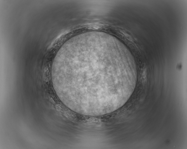 X0000116061446200912111516