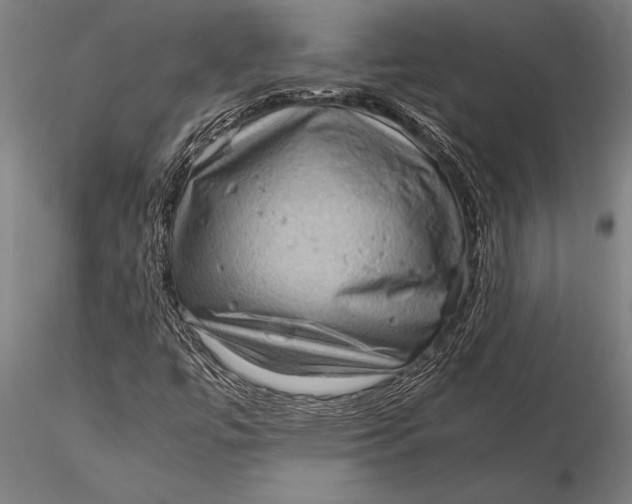 X0000116061447200912111516