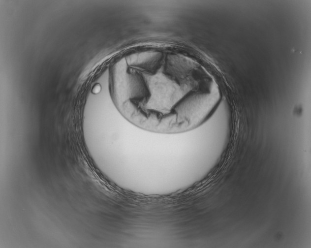 X0000116061448200912111516