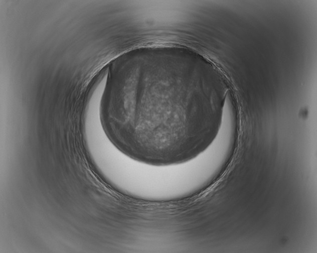 X0000116061449200912111516