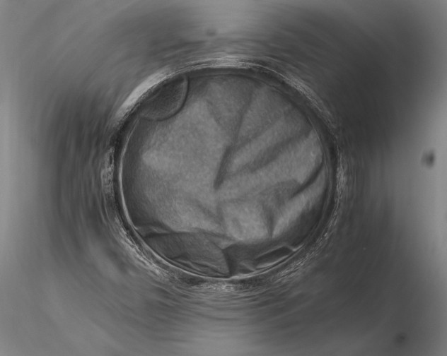 X0000116061450200912111516