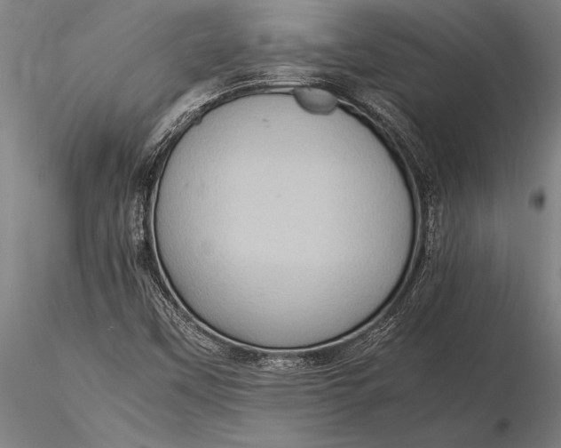 X0000116061451200912111516