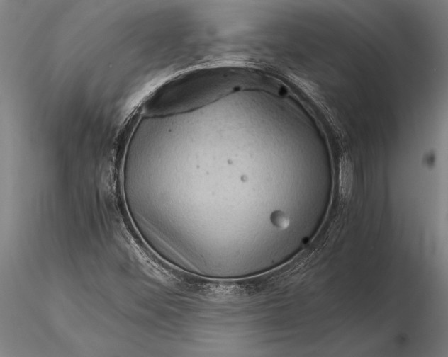 X0000116061452200912111516