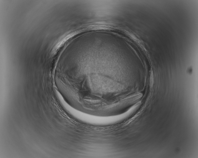 X0000116061453200912111516