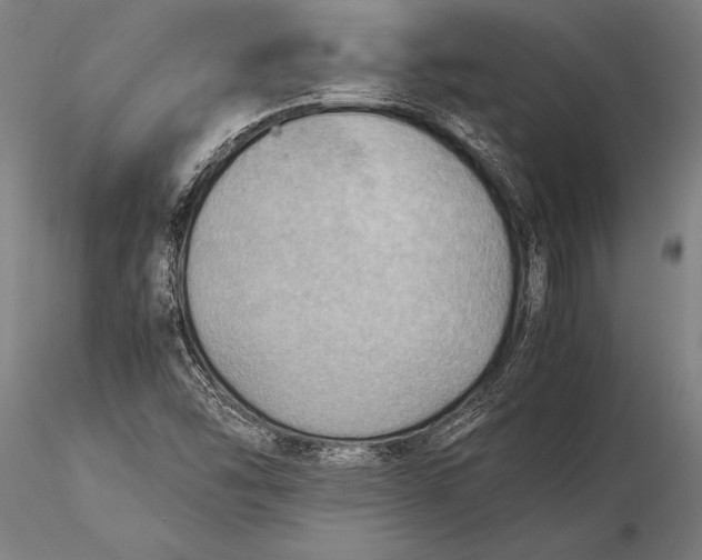 X0000116061454200912111516