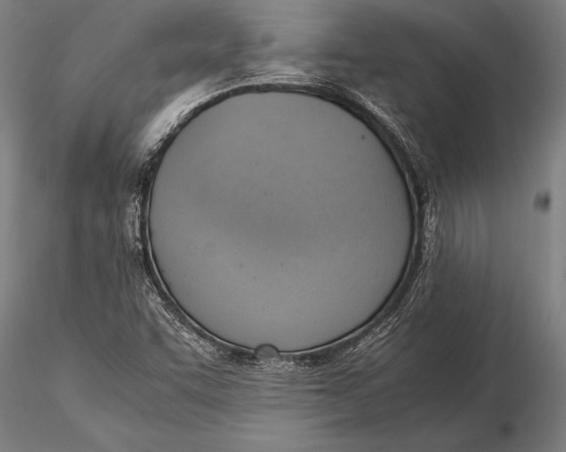 X0000116061455200912111516