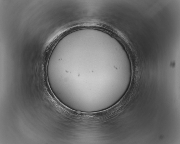 X0000116061456200912111516