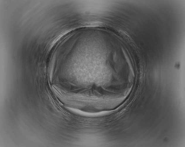 X0000116061457200912111516