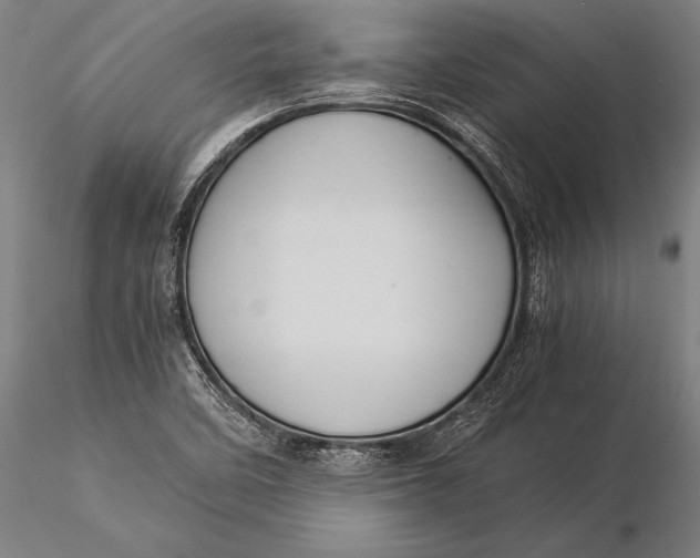 X0000116061458200912111516