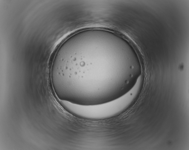 X0000116061460200912111516