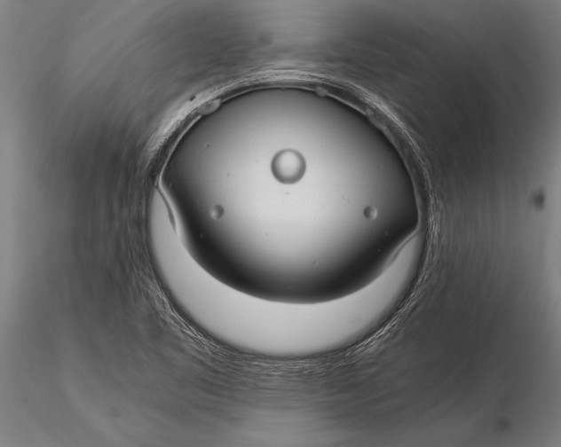 X0000116061461200912111516