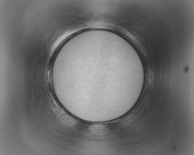 X0000116061462200912111516