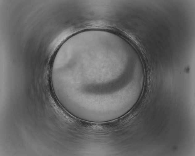 X0000116061463200912111516