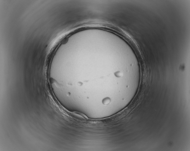 X0000116061464200912111516