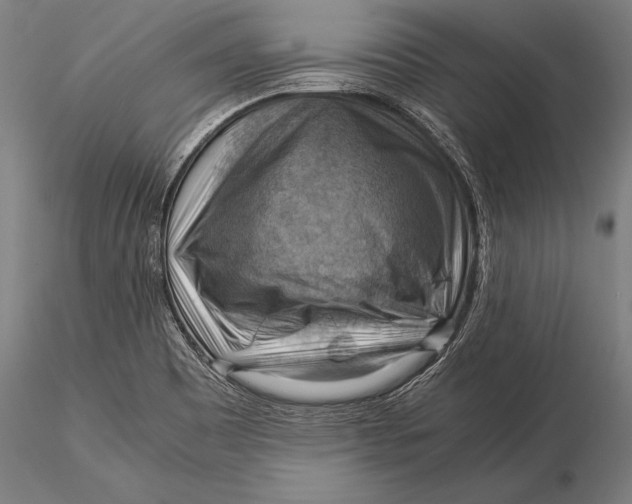 X0000116061465200912111516