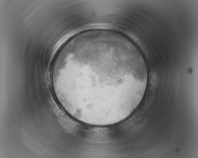 X0000116061466200912111516