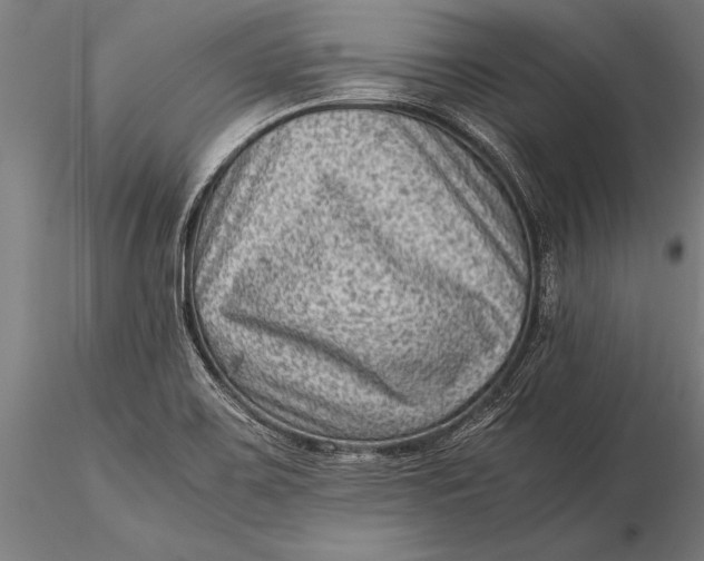 X0000116061467200912111516