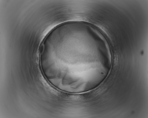 X0000116061468200912111516