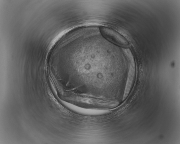 X0000116061469200912111516