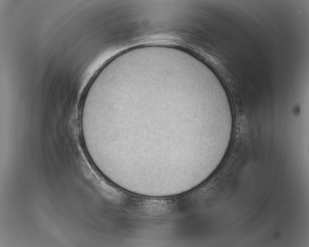 X0000116061470200912111516