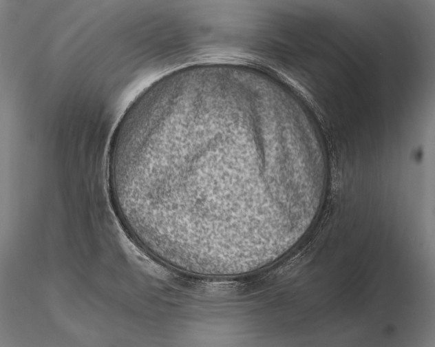 X0000116061471200912111516