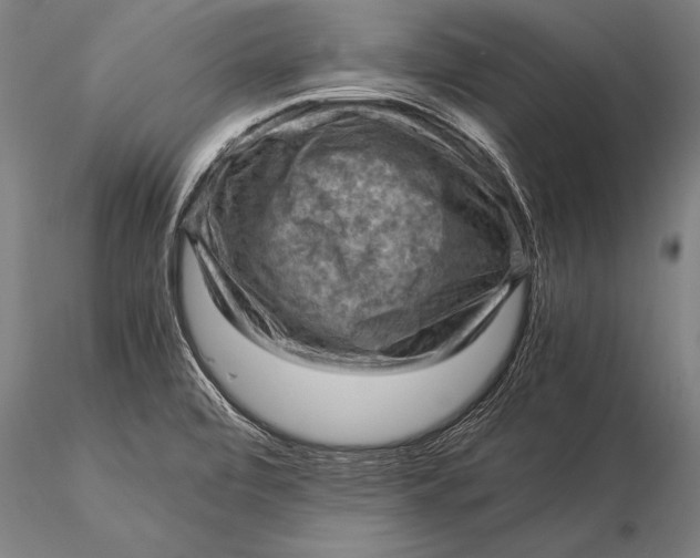 X0000116061472200912111516