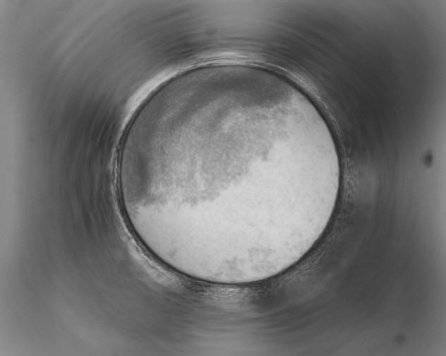 X0000116061474200912111516