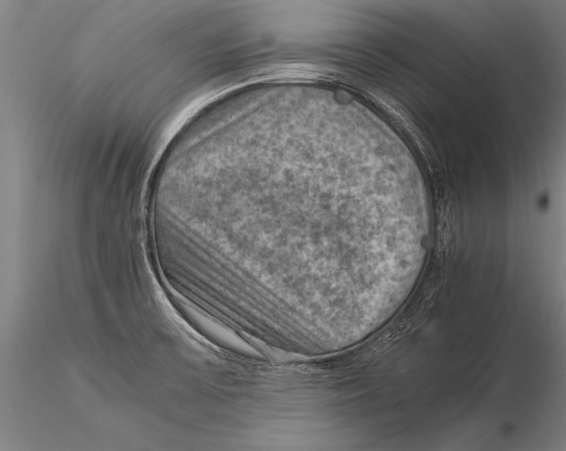 X0000116061475200912111516