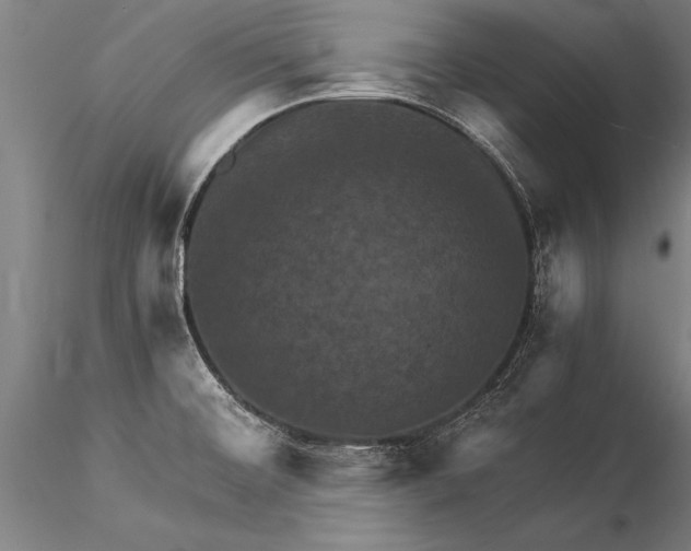 X0000116061476200912111516