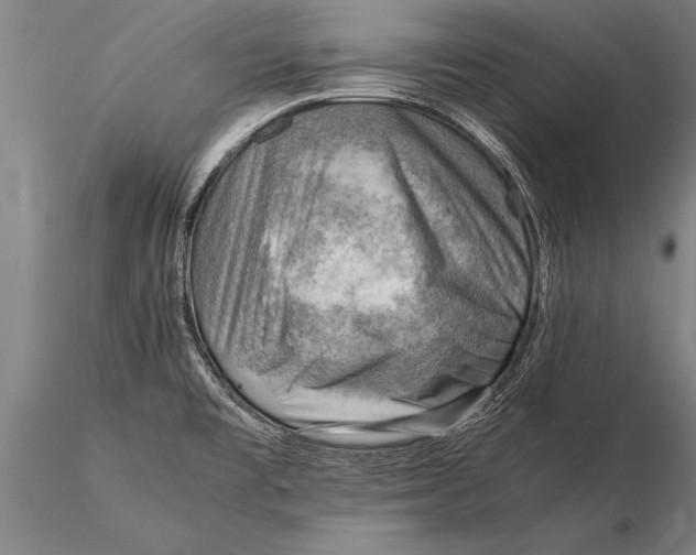 X0000116061477200912111516