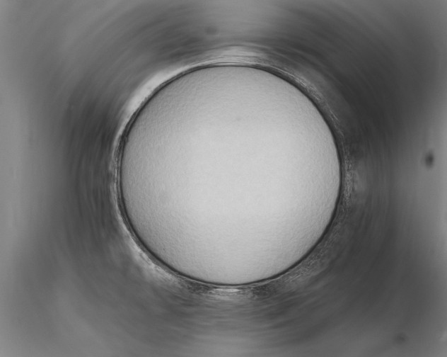 X0000116061478200912111516