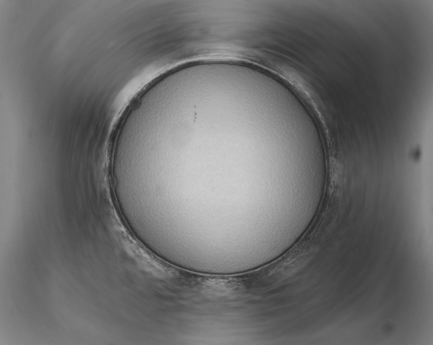 X0000116061480200912111516